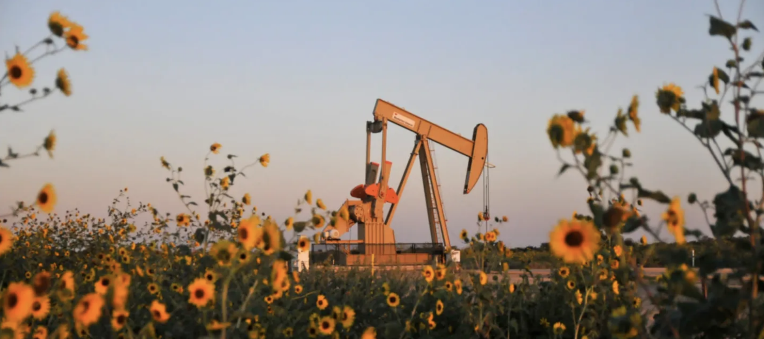 Mineral rights value and sale consulting